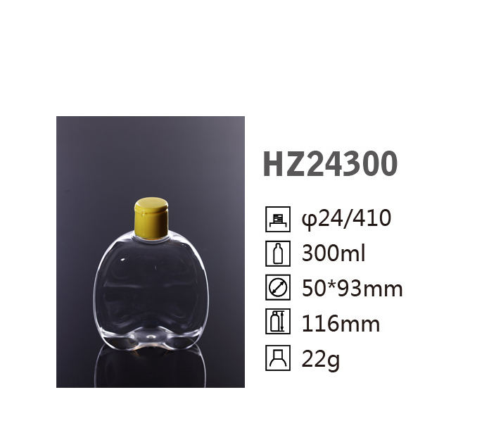 HZ24300